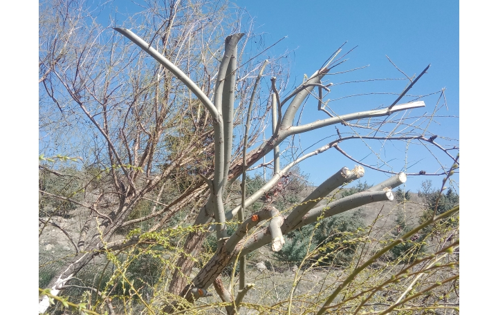 İMALAT RESİMLERİMİZ